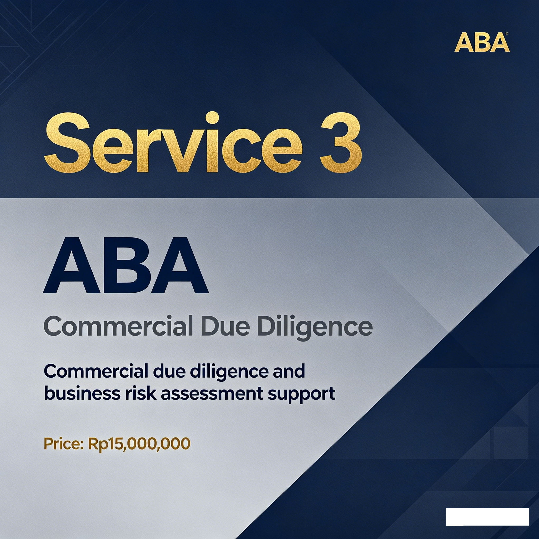 Service 3: Commercial Due Diligence